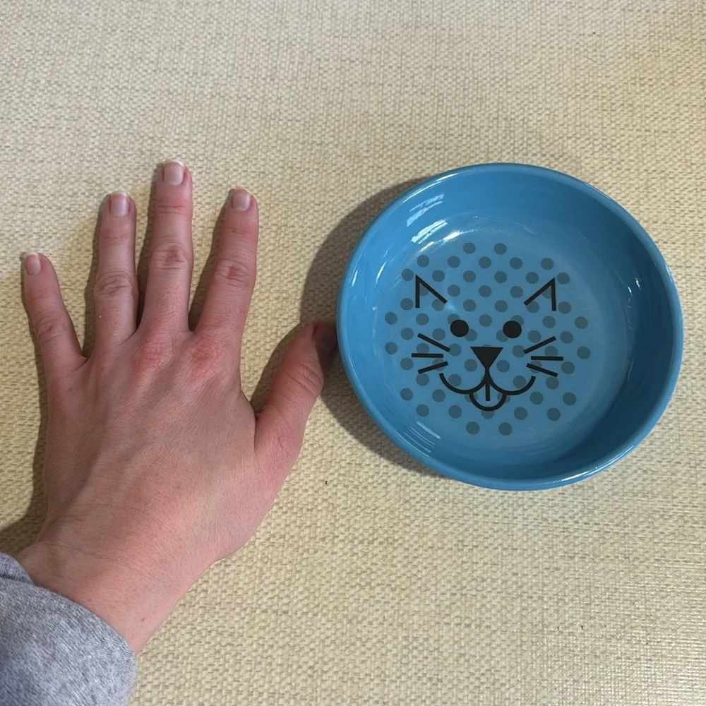 Cat bowl - blue- food bowl